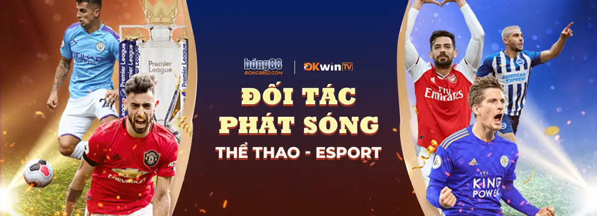 doi-tac-phat-song-truc-tuyen-cua-bongda88-la-okwin