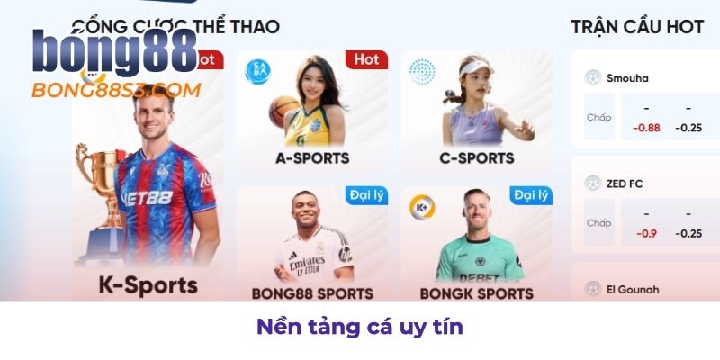 giới thiệu bong88 nền tảng cá cược uy tín được nhiều người tin chọn