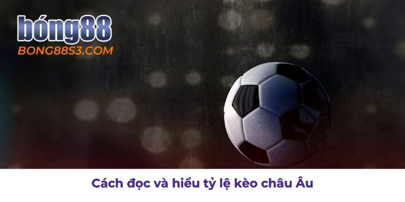 Hướng dẫn hiểu tỷ lệ kèo châu Âu cho người mới chơi