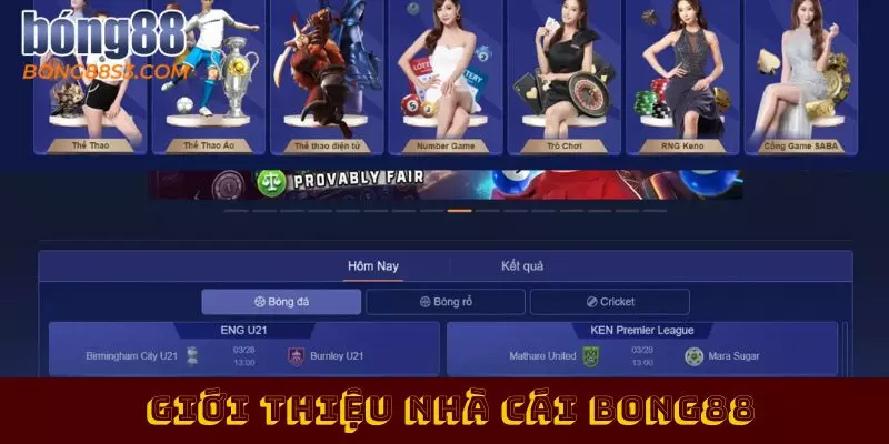 Giới Thiệu Đôi Nét Thú Vị Độc Đáo Về Nhà Cái Cá Cược Thể Thao Bong88