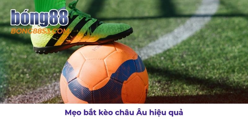 Bí quyết bắt kèo châu Âu dễ thắng và ít rủi ro